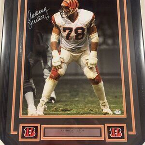 Anthony Munoz autograph signed Cincinnati Bengals 16x20 photo framed PSA/DNA